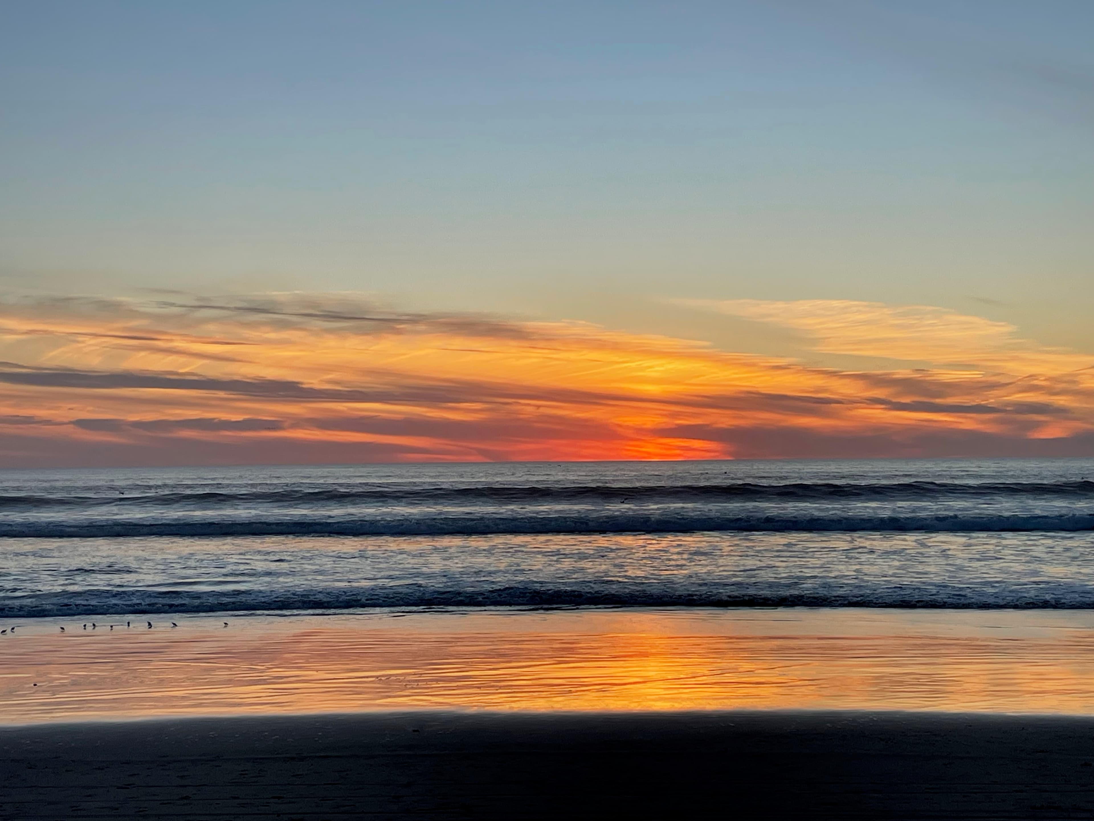 Seeking Stillness in the Age of AI